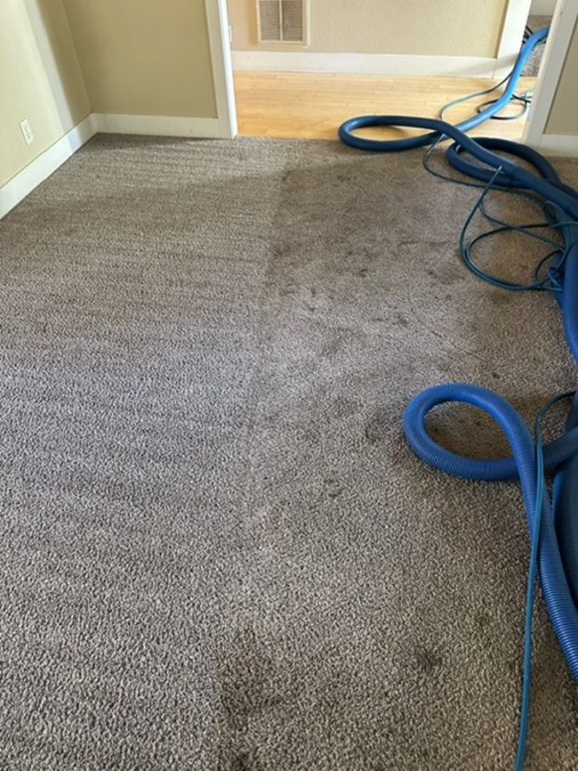 best-carpet-pic1
