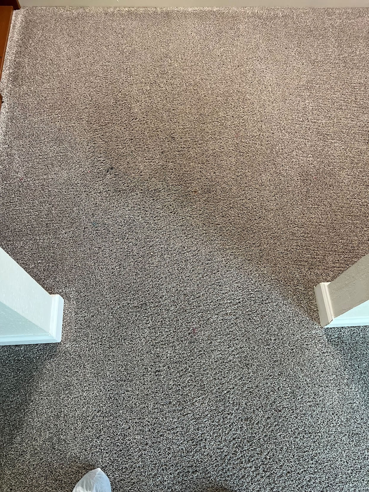 carpet